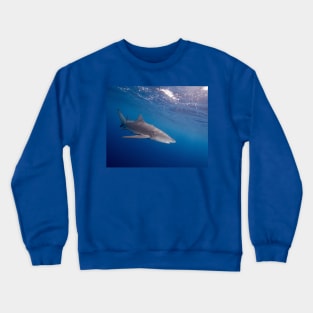 A Lemon Shark Cruising Under the Surface Crewneck Sweatshirt